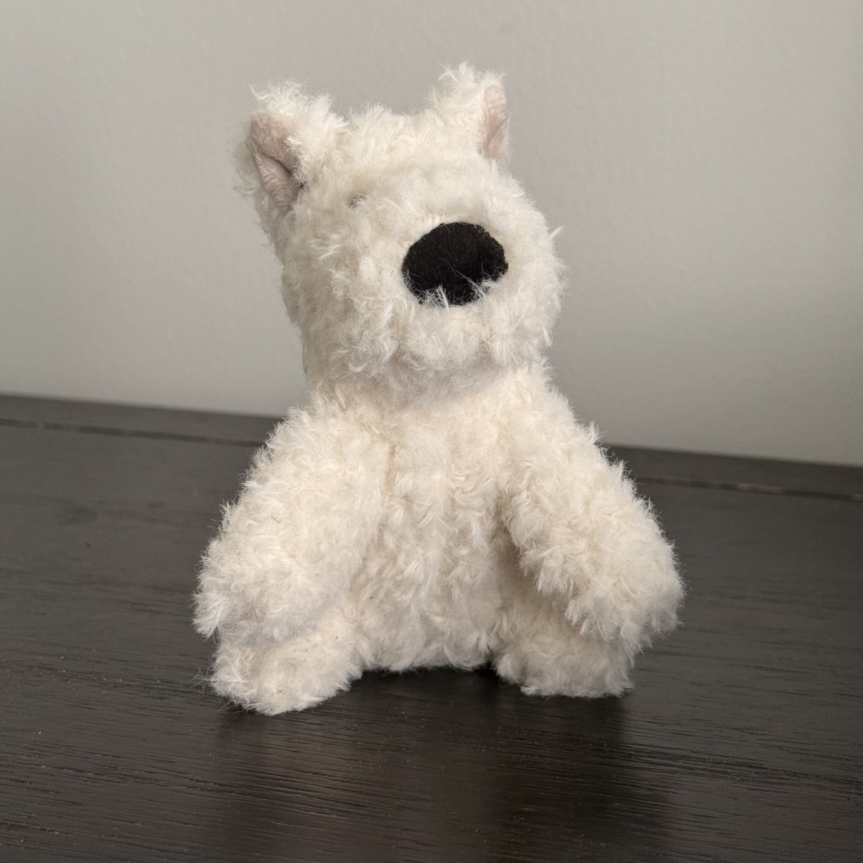 This is a teddy bear I photographed, I chose it because I thought it would be fun to create a teddy bear in C4D.